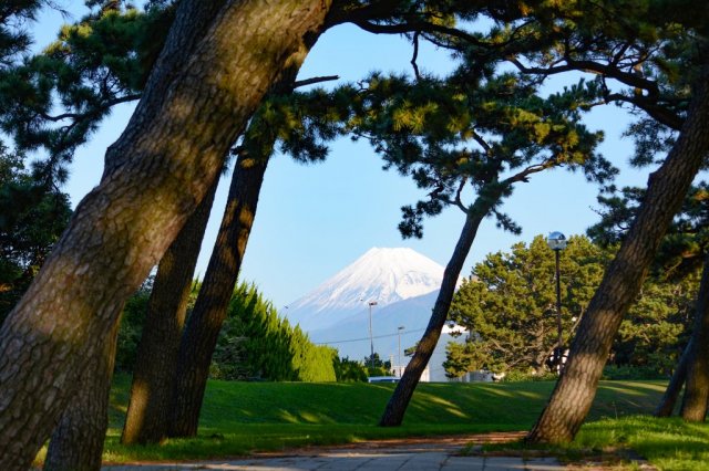 Enjoy Numazu's Famous Seafood and Beautiful Vistas of Mt. Fuji