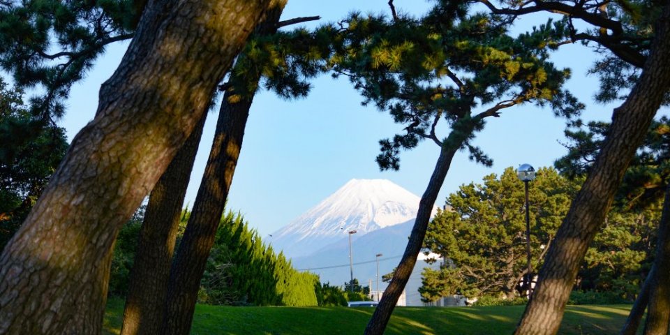 Enjoy Numazu's Famous Seafood and Beautiful Vistas of Mt. Fuji