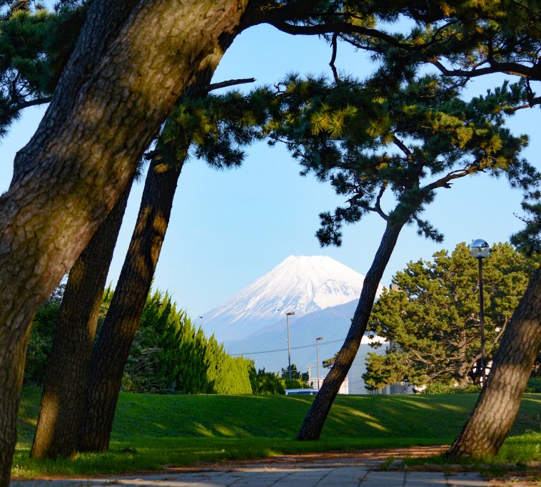 Senbon Matsubara